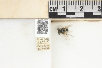 Media type: image;   Entomology 778112 Aspect: Labels